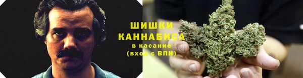 экстази Бородино