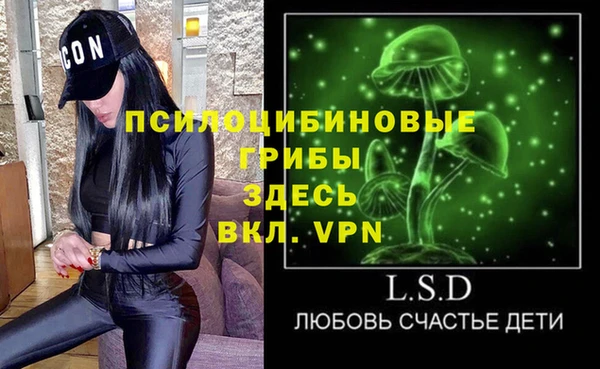 стаф Бугульма