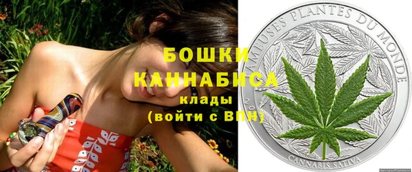 экстази Бородино