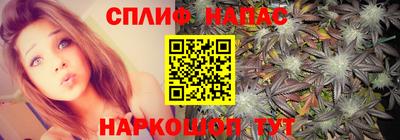 молекула духа Беслан