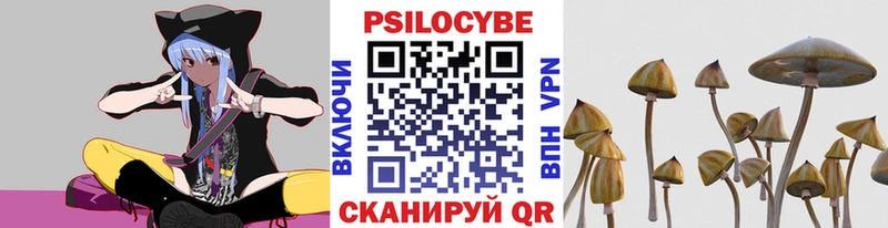 Галлюциногенные грибы Magic Shrooms  как найти наркотики  Каспийск 